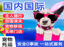 延吉航空托运国际宠物托运 【国